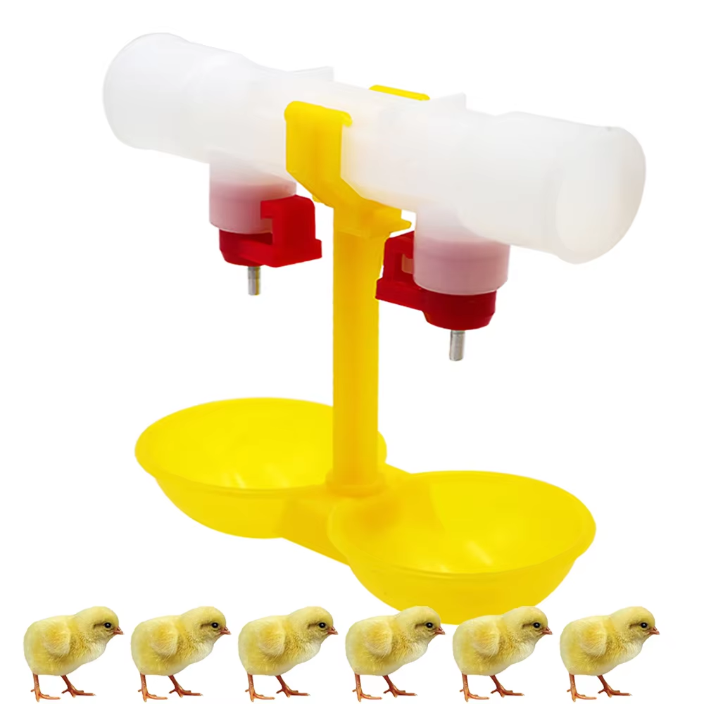 5/10/20Pcs Chicken Double Head - Zwitsal Baby Products avaliação e preço