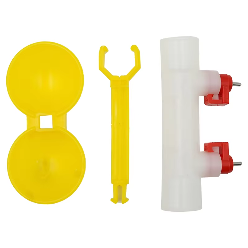 5/10/20Pcs Chicken Double Head - Zwitsal Baby Products avaliação e preço