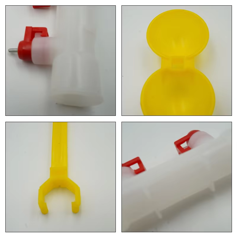 5/10/20Pcs Chicken Double Head - Zwitsal Baby Products avaliação e preço